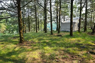 17674 County 11, Spring Grove, MN 55974 - Photo 120