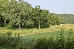 17674 County 11, Spring Grove, MN 55974 - Photo 20