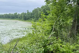 Xxxx State Hwy 84, Longville, MN 56655 - Photo 1
