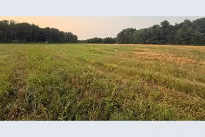Tbd 63rd Street, Hillman, MN 56338 - Photo 22