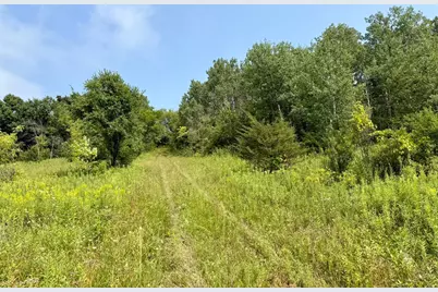 15Xxx Welch Short Cut Path, Welch Township, MN 55089 - Photo 10