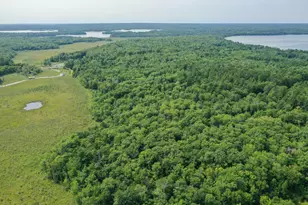 4452 Boone Point Rd NW, Hackensack, MN 56452 - Photo 14