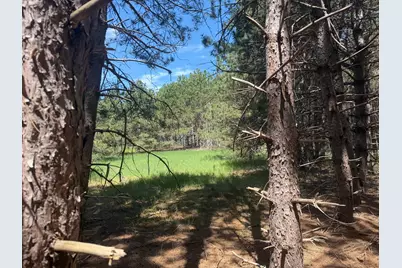 Tbd- Parcel C Sleepy Hollow Road, Brainerd, MN 56401 - Photo 6