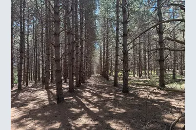 Tbd- Parcel C Sleepy Hollow Road, Brainerd, MN 56401 - Photo 2