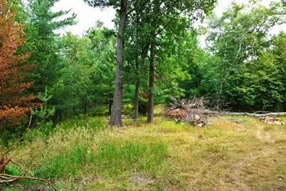Tbd County Road 23, Brainerd, MN 56401 - Photo 46