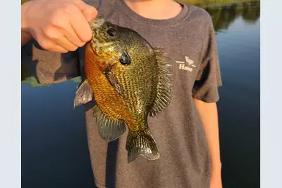 500 W Glenn Street, Vergas, MN 56587 - Photo 12
