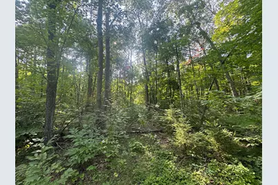 Tbd Howard Lake Road NW, Akeley, MN 56433 - Photo 1