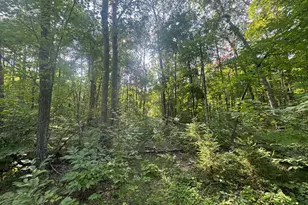 Tbd Howard Lake Road NW, Akeley, MN 56433 - Photo 1