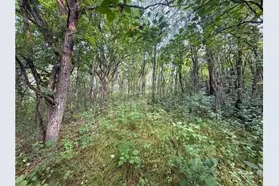 Tbd 299th Ave., Millville, MN 55041 - Photo 32