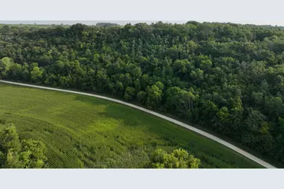 Tbd 299th Ave., Millville, MN 55041 - Photo 8