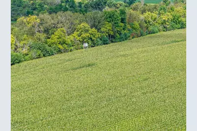 13727 County Road 32, Bertha, MN 56437 - Photo 16