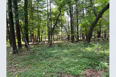 Xxxx Elmcrest Avenue, Stacy, MN 55079 - Photo 10