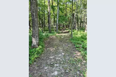 11023 Steamboat Loop NW, Walker, MN 56484 - Photo 76