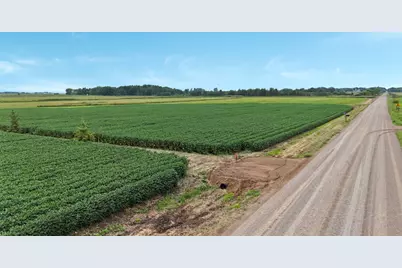 Tbd 115th Street NE, Foley, MN 56329 - Photo 6
