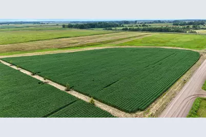 Tbd 115th Street NE, Foley, MN 56329 - Photo 6