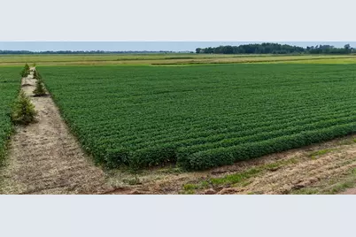 Tbd 115th Street NE, Foley, MN 56329 - Photo 24