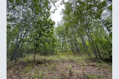 10046 Legionville Road, Brainerd, MN 56401 - Photo 4