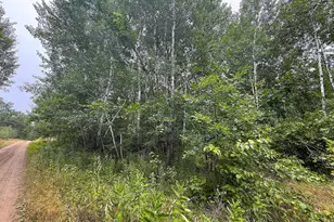 10046 Legionville Rd, Brainerd, MN 56401 - Photo 1