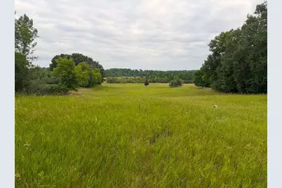 Tbd 405th Avenue NW, Braham, MN 55006 - Photo 4
