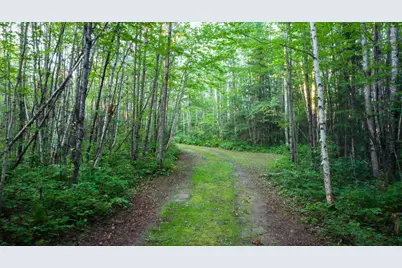 6991 Crane Lake Road, Crane Lake, MN 55725 - Photo 26