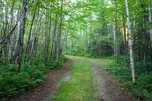 6991 Crane Lake Rd, Crane Lake, MN 55725 - Photo 26