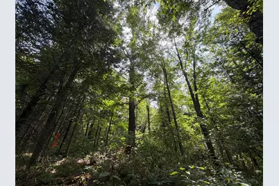 Lot 2 Smith Road, Couderay, WI 54828 - Photo 8