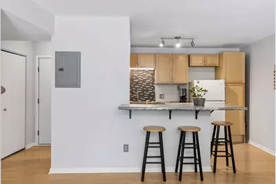 1200 Nicollet Mall #313, Minneapolis, MN 55403 - Photo 1