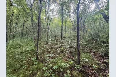 Tbd 299th Ave, Millville, MN 55041 - Photo 22