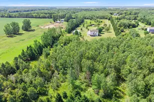 40617 Lowden Ave, North Branch, MN 55056 - Photo 138