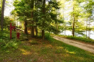 36476 Little Smith Rd, Marcell, MN 56657 - Photo 60