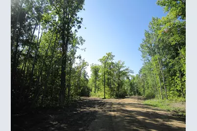 Lot 5, Blk 1 Parklands Lane NW, Laporte, MN 56461 - Photo 10