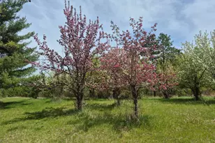 13062 230th St, Park Rapids, MN 56470 - Photo 46