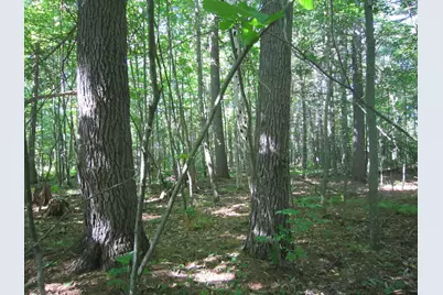Lot 1, Blk 1 Parklands Lane NW, Laporte, MN 56461 - Photo 14