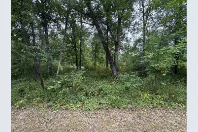 Lot 2 Whitetail, Crosby, MN 56441 - Photo 4