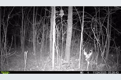 Tbd Highway 23, Brook Park, MN 55007 - Photo 38