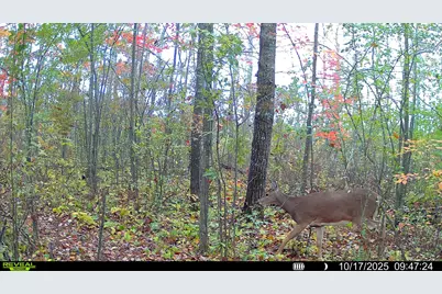 Tbd Highway 23, Brook Park, MN 55007 - Photo 30