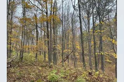 Tbd 240th Street, Luck, WI 54853 - Photo 36