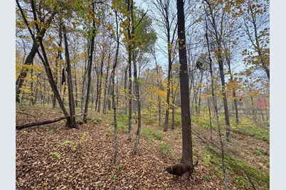 Tbd 240th Street, Luck, WI 54853 - Photo 30