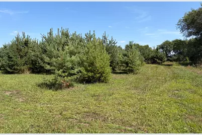 17938 US 71, Long Prairie, MN 56347 - Photo 50
