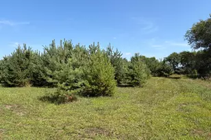 17938 US-71, Long Prairie, MN 56347 - Photo 50
