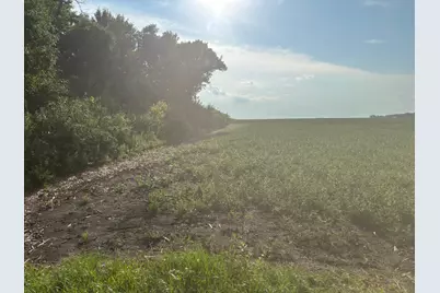 62495 310th Street and 620th, Chokio, MN 56221 - Photo 4