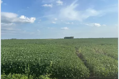 62495 310th Street and 620th, Chokio, MN 56221 - Photo 2