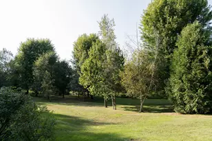 S51 Deer Run Rd, Mondovi, WI 54755 - Photo 60