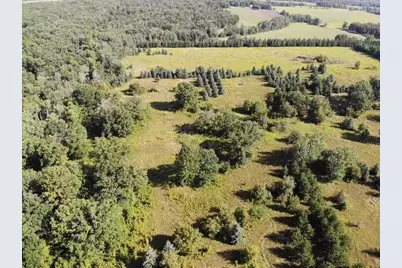 Tbd 190th Street, Wadena, MN 56482 - Photo 8