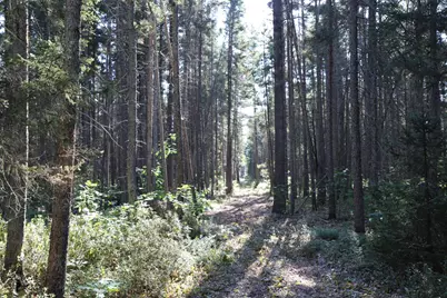 0000 Sand Lake Road, Stone Lake, WI 54876 - Photo 20