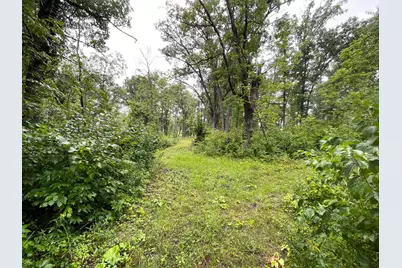 46758 S Pine Lake Road, Gonvick, MN 56644 - Photo 38