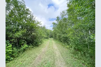 46758 S Pine Lake Road, Gonvick, MN 56644 - Photo 22