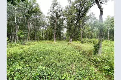 46758 S Pine Lake Road, Gonvick, MN 56644 - Photo 40