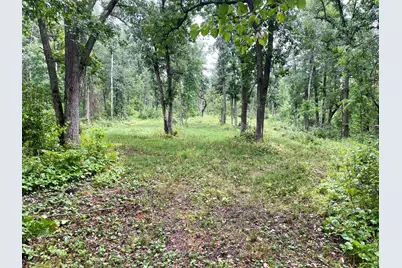 46758 S Pine Lake Road, Gonvick, MN 56644 - Photo 44