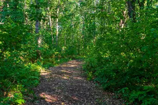 64680 Creekview Ln, Sandstone, MN 55072 - Photo 38